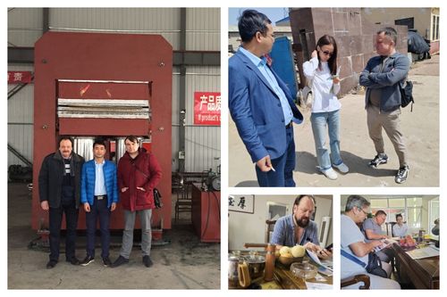 Pelanggan Eropa membeli mesin vulcanizing cetakan karet